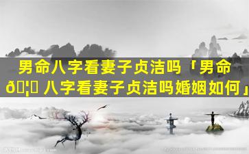 男命八字看妻子贞洁吗「男命 🦍 八字看妻子贞洁吗婚姻如何」